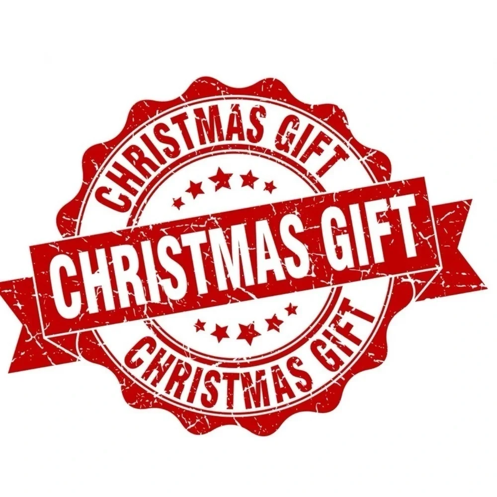 Holiday Doormat Puppy Dog Christmas Decor Rectangle 16 X 24 In Multicolor